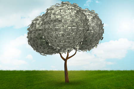 Money tree in business concept - 3d renderingの写真素材