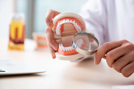 Male doctor stomatologist working in the clinicの写真素材