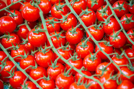 Tomatoes at the market display stallの写真素材