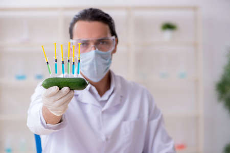Male nutrition expert testing food products in labの写真素材