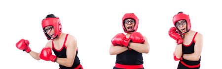 Funny boxer isolated on the white backgroundの写真素材