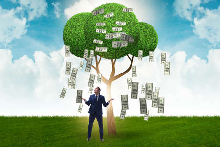 Businessman with money tree in business conceptの写真素材