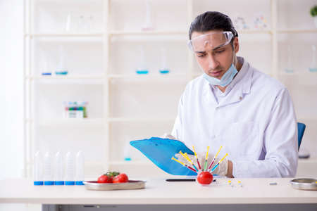 Male nutrition expert testing food products in labの写真素材