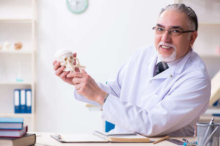 Aged male doctor with skeletonの写真素材