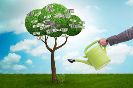 Businessman watering money tree in investment conceptの写真素材