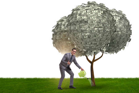 Businessman watering money tree in investment conceptの写真素材