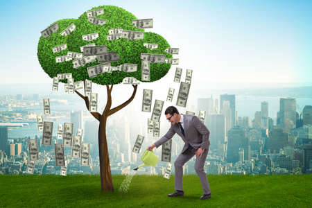 Businessman watering money tree in investment conceptの写真素材