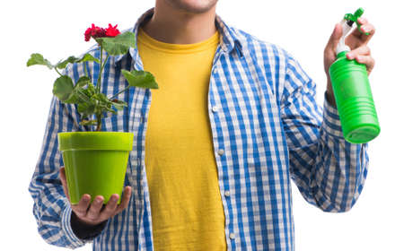 Young man with flower pot isolated on whiteの写真素材