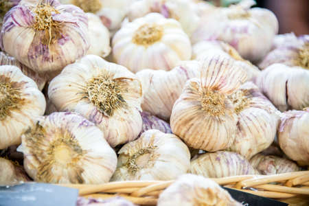 Garlic at the market display stallの写真素材