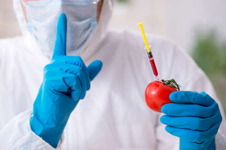 The male nutrition expert testing food products in labの素材 [FY310126949008]