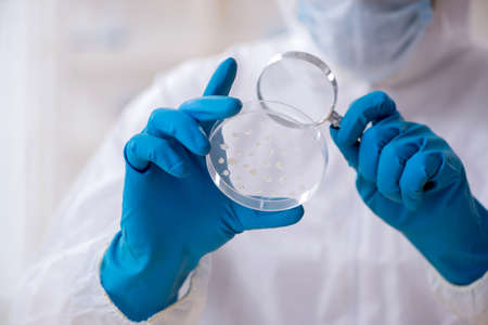 The young male chemist working in the lab