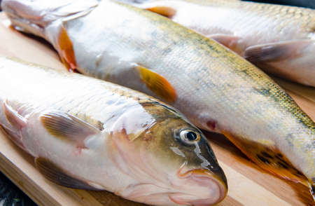 Uncooked fish on cutting board in meal preparation concept