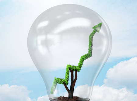 The green energy concept with green line graph in light bulbの写真素材