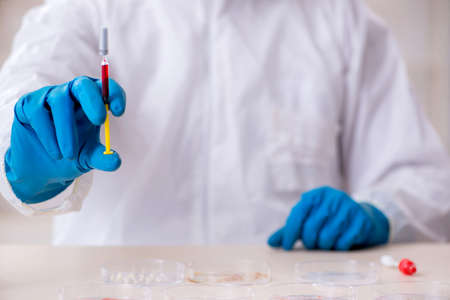 Young male chemist working in the lab