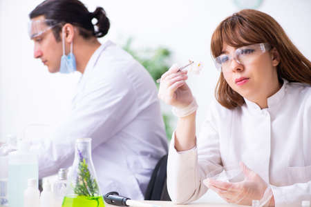 Two chemists working in the labの写真素材