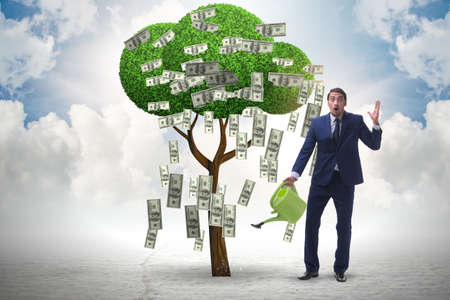 Businessman watering money tree in investment conceptの写真素材
