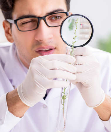 Biotechnology scientist chemist working in labの写真素材