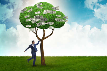 Businessman with money tree in business concept
