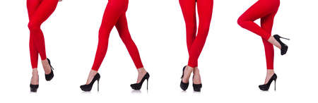 Woman legs in long stockingsの写真素材