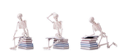 The skeleton reading books on whiteの写真素材