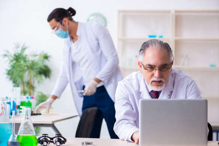 Two chemists working in the labの写真素材