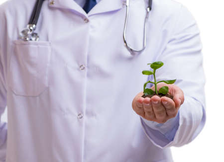 Scientist with green seedling in glass isolated on whiteの写真素材