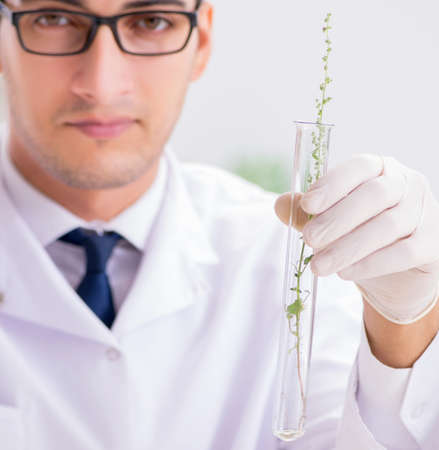 Biotechnology scientist chemist working in labの写真素材