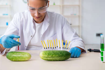 Male nutrition expert testing vegetables in labの写真素材