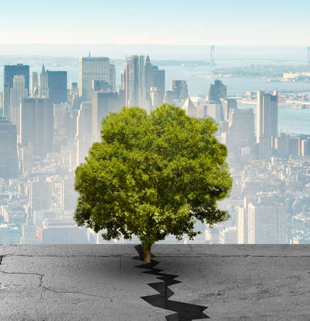 New life concept with sprout growing through crackの写真素材