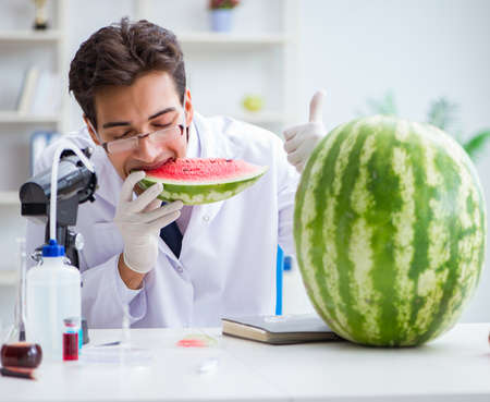 Scientist testing watermelon in labの写真素材