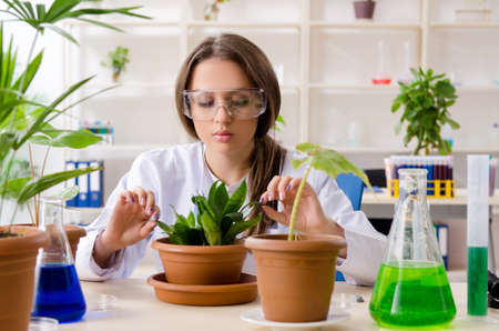 Young beautiful biotechnology chemist working in the labの写真素材