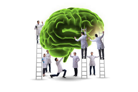 Team of doctors examining human brainの写真素材