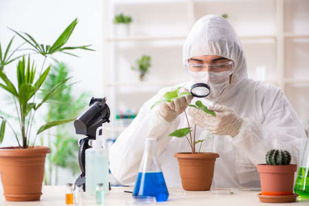 Biotechnology chemist working in labの写真素材