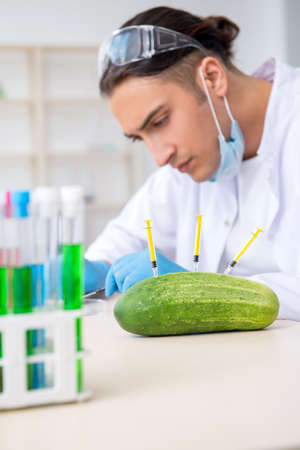 Male nutrition expert testing vegetables in labの写真素材