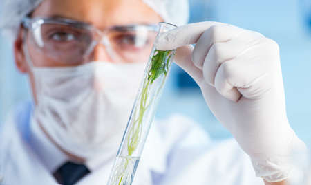 Biotechnology concept with scientist in lab