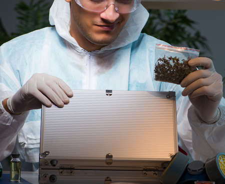 Forensic investigator working in lab looking for evidence
