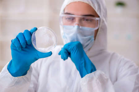 Young male chemist working in the labの写真素材