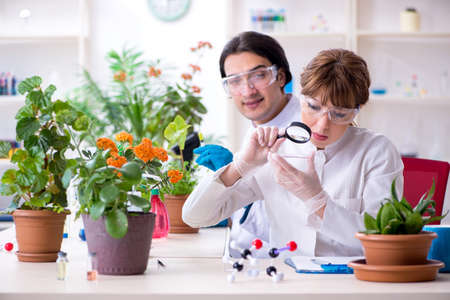 Two young botanist working in the labの写真素材