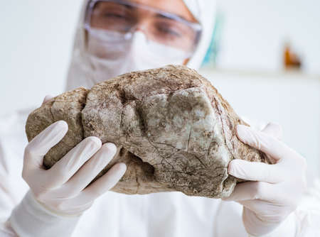 Scientist looking and stone samples in labの写真素材