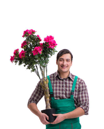 Young man gardener isolated on whiteの写真素材