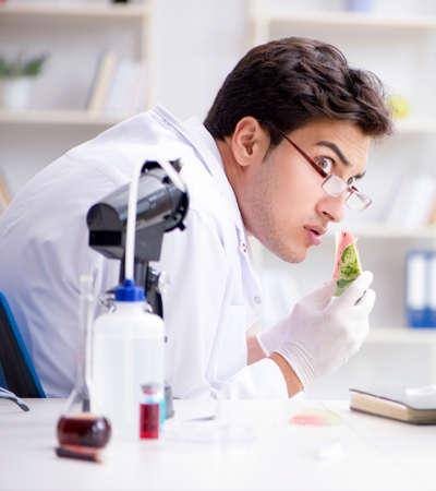Scientist testing watermelon in labの写真素材