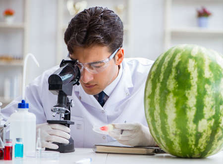 Scientist testing watermelon in labの写真素材
