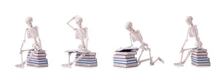 The skeleton reading books on whiteの写真素材