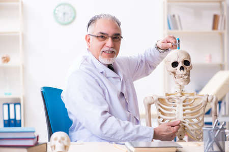Aged male doctor with skeletonの写真素材