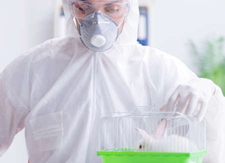 Scientist doing animal experiment in lab with rabbitの写真素材
