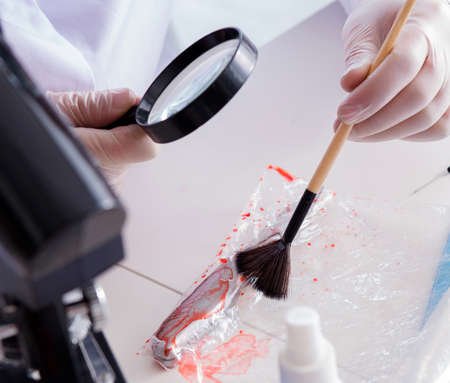 The criminologist police chemist looking at crime evidenceの写真素材