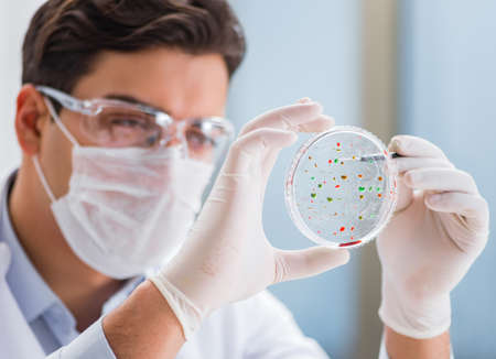 Male doctor working in the lab on virus vaccineの写真素材