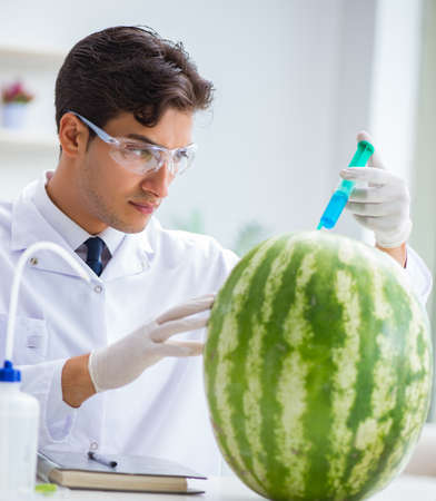 Scientist testing watermelon in labの写真素材