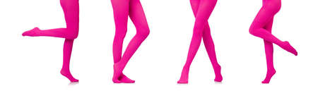 Woman legs in long stockingsの写真素材