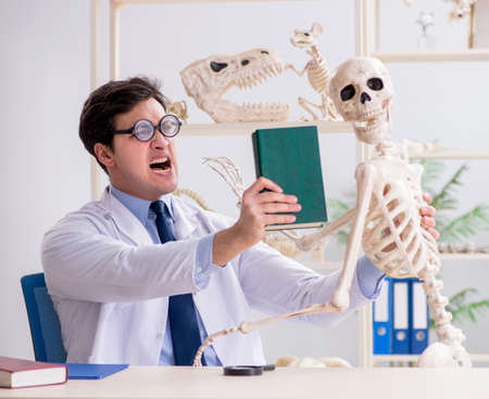 Crazy professor studying human skeletonの写真素材